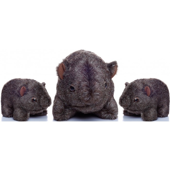 The Wombat Family
